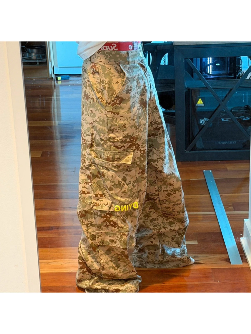 Baggy Y2K Dying Wishes cargos